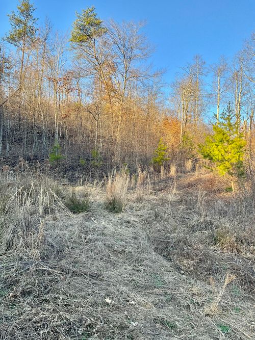 0 Bull Hollow Rd, Manchester, KY, 40962 | Card Image