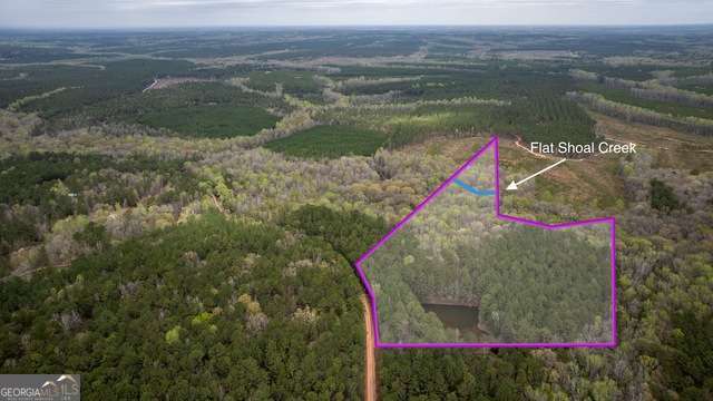Land in Greenville 4