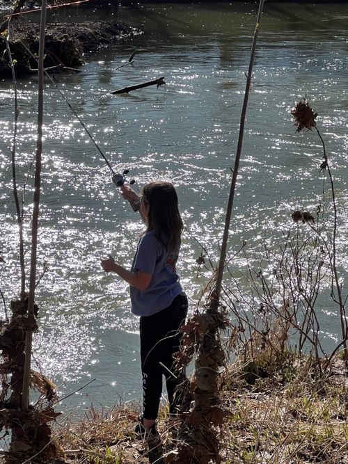 0 Red River School House Rd, Portland, TN, 37148 | Card Image