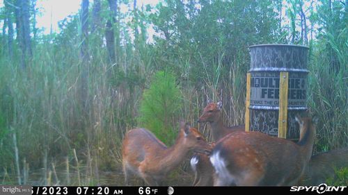 2420 Toddville Rd, WINGATE, MD, 21675-2006 | Card Image