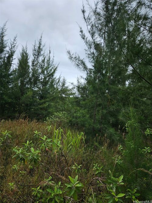 2782-lot 2782 2nd Avenue, Keaau, HI, 96749 | Card Image