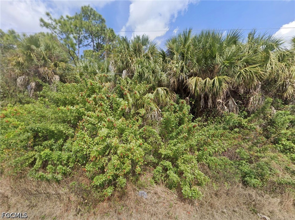 Land in Lehigh Acres 2