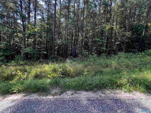 LOT 15 County Road 592, Leesburg, AL, 35983-4918 | Card Image