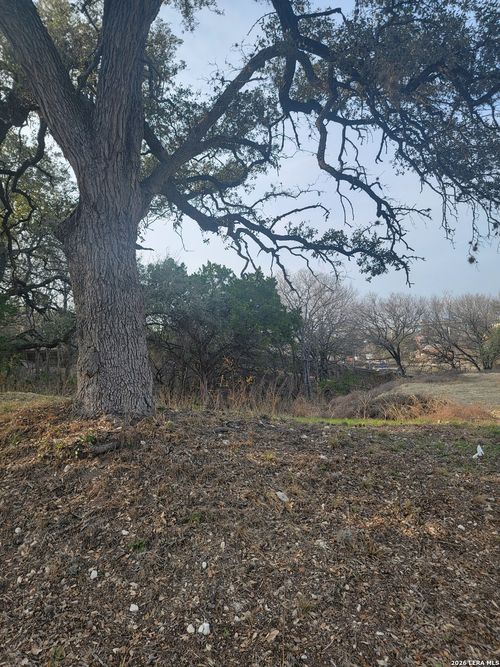 14922 Medusa, Selma, TX, 78154-3410 | Card Image