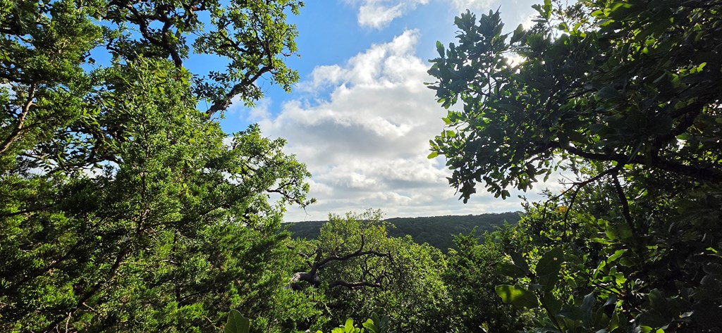 Land in Kerrville 5