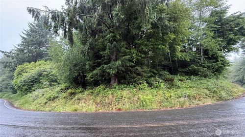 131015416 S S Bend Palix Road, South Bend, WA, 98586 | Card Image