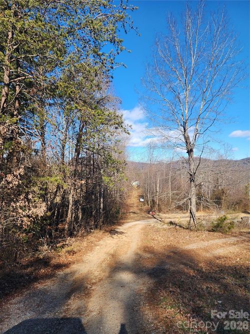 21 Hickory Drive, Taylorsville, NC, 28681 | Card Image