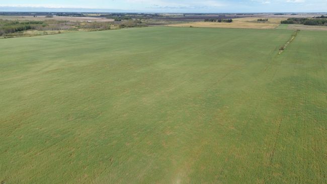 DJI_0009.JPG | Image 4
