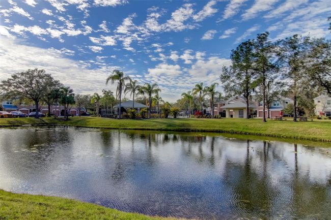 26642 Castleview Way, Townhouse with 3 bedrooms, 2 bathrooms and null parking in Wesley Chapel FL | Image 45