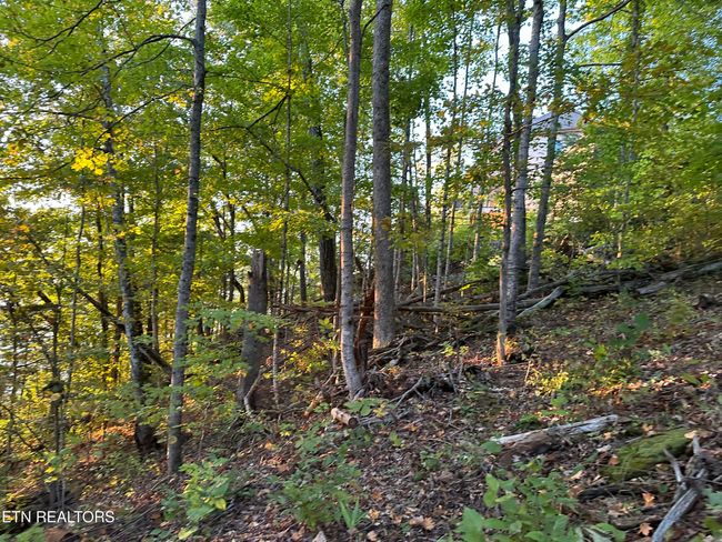 778 Russell Bros Rd, Home with 0 bedrooms, 0 bathrooms and null parking in Sharps Chapel TN | Image 21