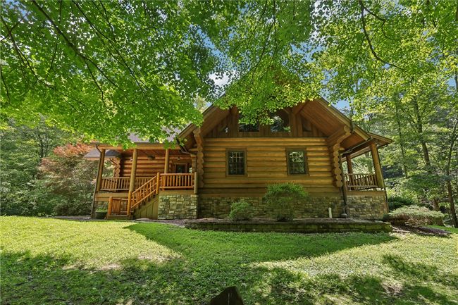 Image | Image 4