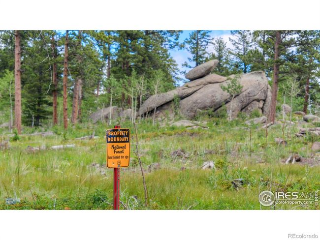 440 Grizzly Dr, House other with 2 bedrooms, 2 bathrooms and 2 parking in Ward CO | Image 23