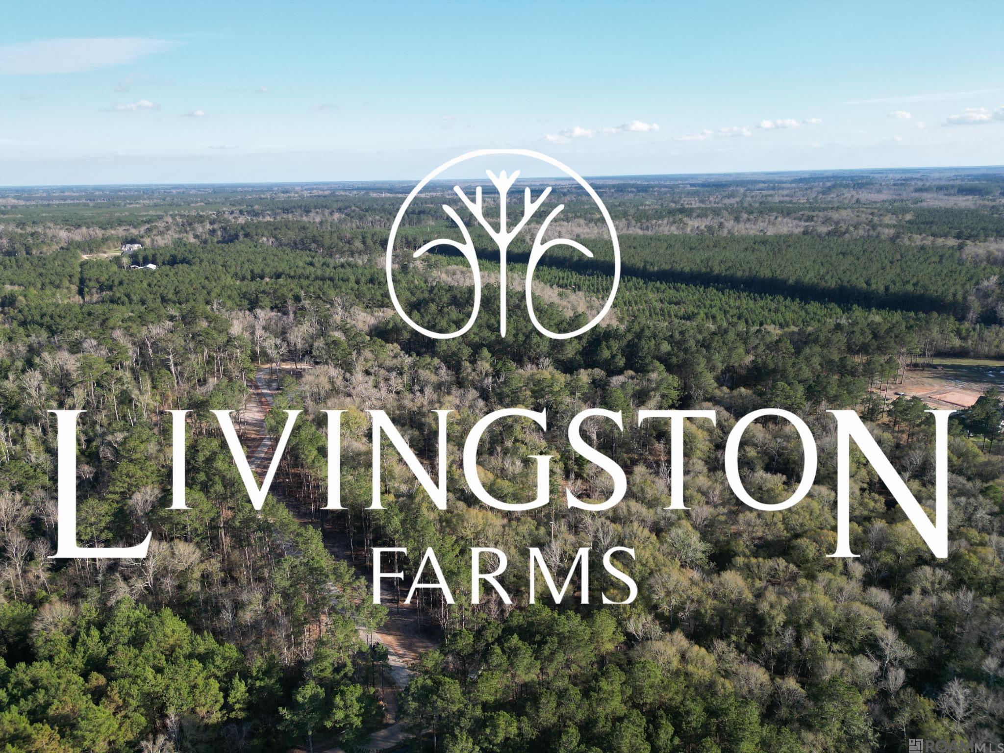 Land in Livingston