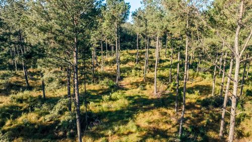 TBD Terrell'S Bay Rd., Centenary, SC, 29519 | Card Image