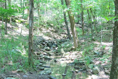 000 Hale Mountain Rd, Canehill, AR, 72717 | Card Image