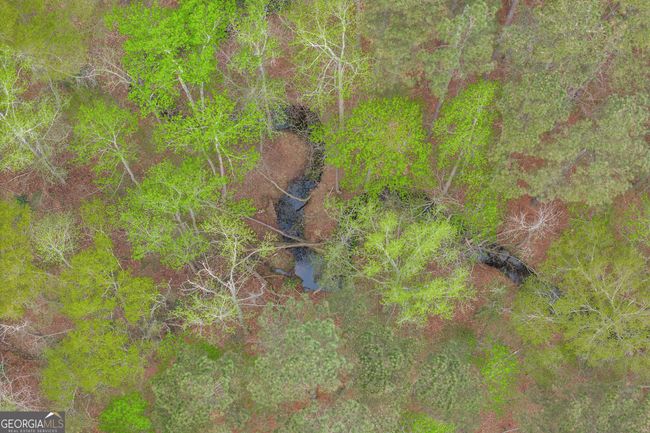 0 Carey Ford Rd, Home with 0 bedrooms, 0 bathrooms and null parking in Danielsville GA | Image 13