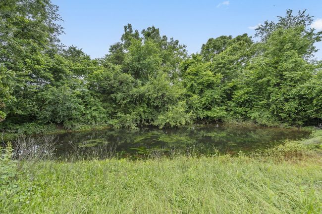4-web-or-mls-DSC02437 | Image 4