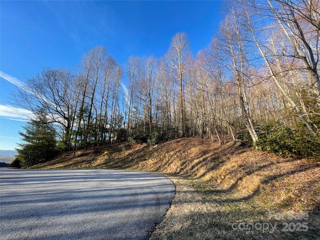 191 - 000 Hardwood Summit Dr, Home with 0 bedrooms, 0 bathrooms and null parking in Hendersonville NC | Image 15