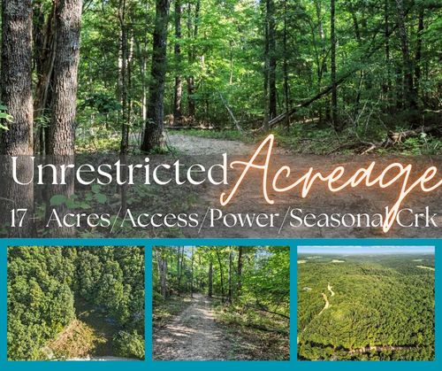 000 County Road C-228, Norwood, MO, 65717 | Card Image