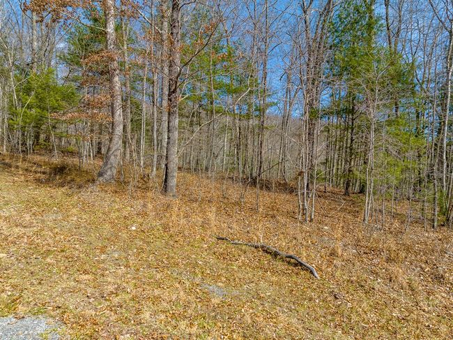 Lot 6 N Sunset Lane, Home with 0 bedrooms, 0 bathrooms and null parking in Bland VA | Image 28