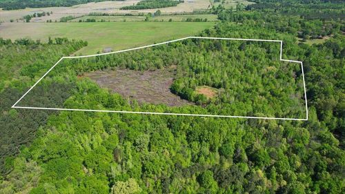 TBD County Road 1143, Daingerfield, TX, 75638 | Card Image