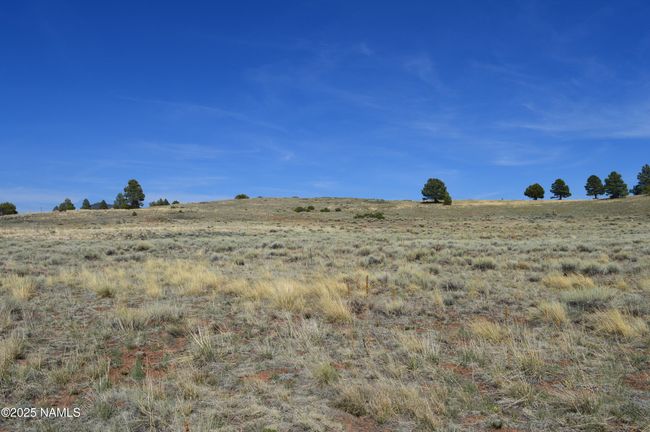 2 E Tanner Ranch Rd, Home with 0 bedrooms, 0 bathrooms and null parking in Parks AZ | Image 27