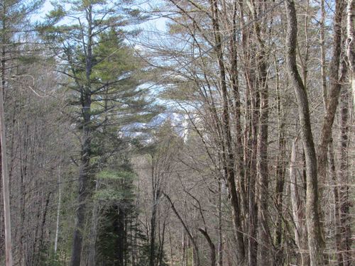 1192 Haven Hill Rd, South Londonderry, VT, 05155 | Card Image