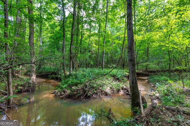 0 John Lovelace Rd, Home with 0 bedrooms, 0 bathrooms and null parking in LAGRANGE GA | Image 30
