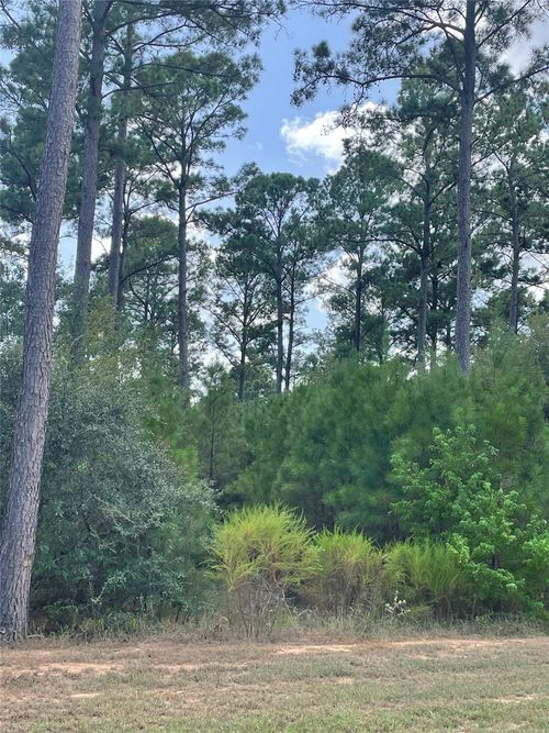 9424 Old Cedars Dr, Plantersville, TX, 77363-1773 | Card Image