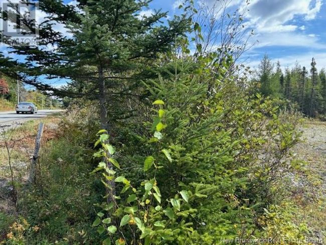454 St Martins Rd, Home with 0 bedrooms, 0 bathrooms and null parking in Saint John NB | Image 17