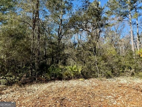 0 Live Oak Lane Rd, Pembroke, GA, 31321 | Card Image