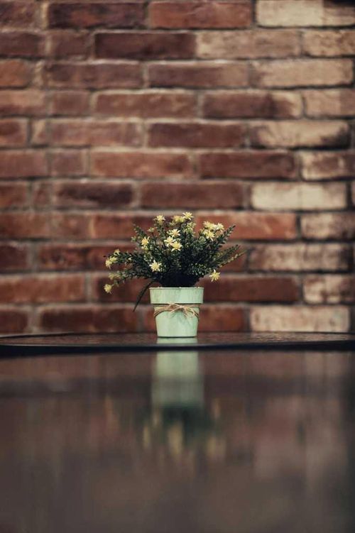 123 Calgary Street Se, Calgary, AB, T2A5K4 | Card Image