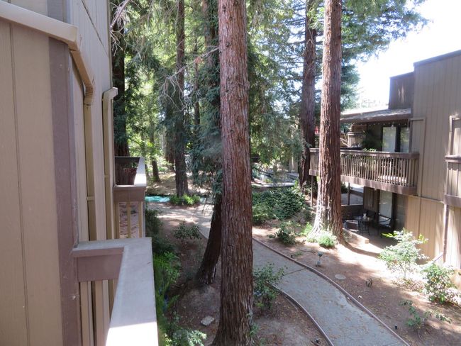 APT-272 - 2426 Larkspur Ln, Condo with 1 bedrooms, 1 bathrooms and null parking in Sacramento CA | Image 21