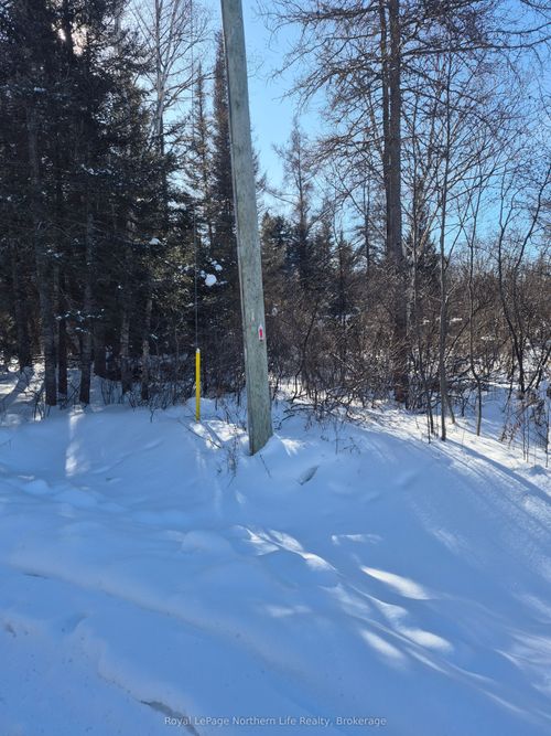 PT LOT 1 CON 9 PART 1 Archambeault Road, Papineau Cameron, ON, P0H1V0 | Card Image