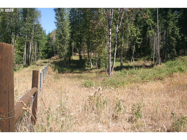 3647 Briar Knob Loop Ne, Home with 0 bedrooms, 0 bathrooms and null parking in Scotts Mills OR | Image 15