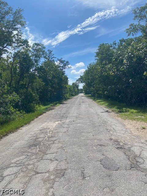 Land in Everglades City 2
