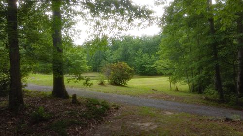 943 Old Ccc Rd, Sewanee, TN, 37375-2888 | Card Image