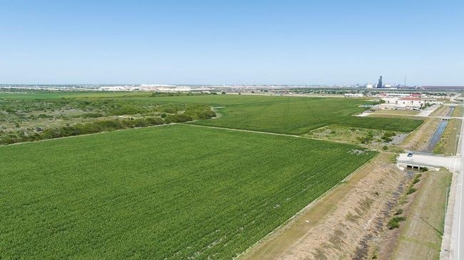 00 Buddy Ganem Dr, Home with 0 bedrooms, 0 bathrooms and null parking in Portland TX | Image 12