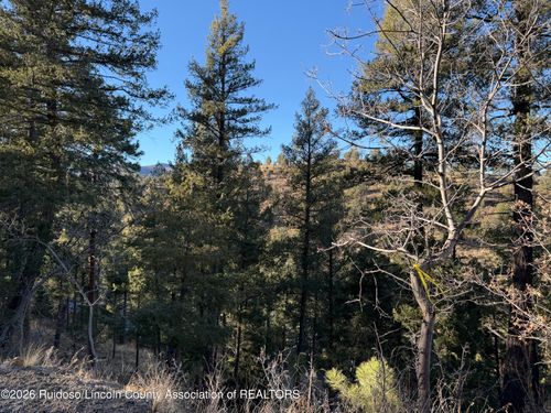 2-Lot 31 King Richard Dr, Ruidoso, NM, 88345 | Card Image