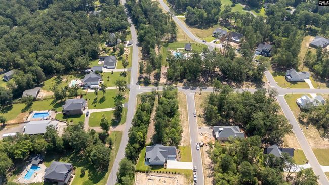 812 Elms Spinney Ln, Home with 0 bedrooms, 0 bathrooms and null parking in Chapin SC | Image 23