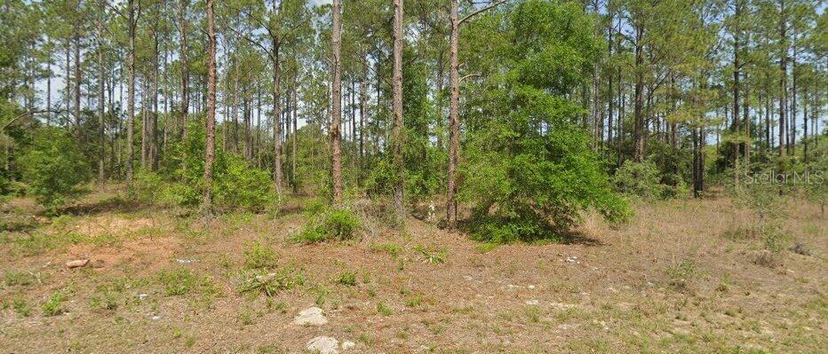 Land in DUNNELLON