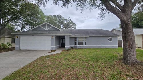 4312 Arley Pl, VALRICO, FL, 33596-7182 | Card Image
