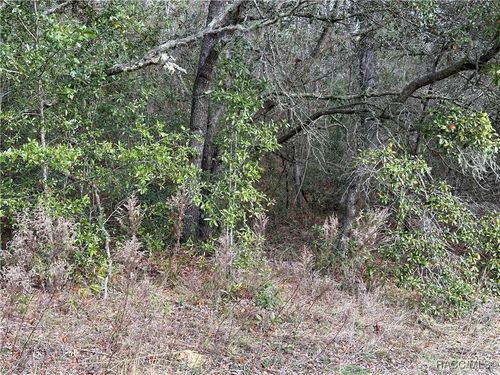 4053 W Firewood Loop, DUNNELLON, FL, 34433-5778 | Card Image
