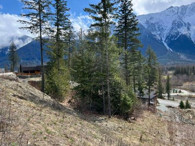 7677 Cerulean Dr, Home with 0 bedrooms, 0 bathrooms and null parking in Pemberton BC | Image 3