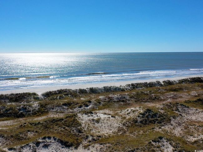 8253 Vibrant Loop, House other with 3 bedrooms, 2 bathrooms and 4 parking in Longs SC | Image 32