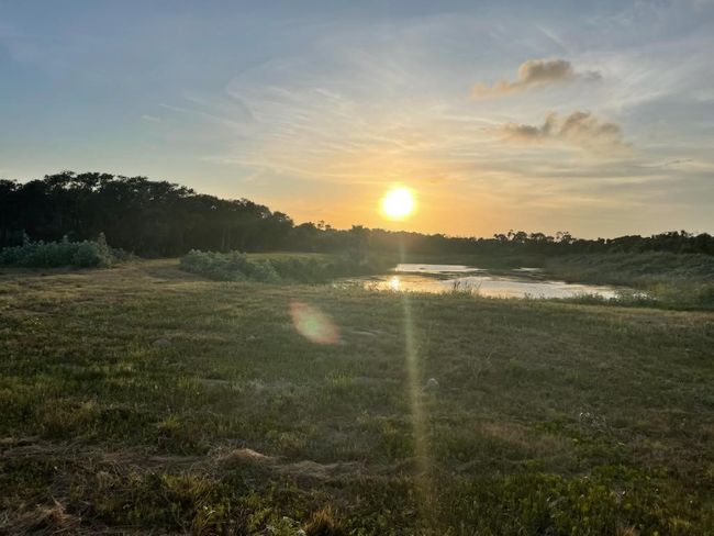 132 Dominguez Rd, Home with 0 bedrooms, 0 bathrooms and null parking in Aransas Pass TX | Image 20