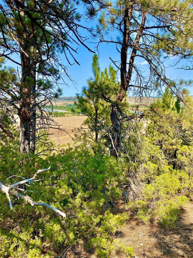 69 Colter Trl, Home with 0 bedrooms, 0 bathrooms and null parking in Columbus MT | Image 21