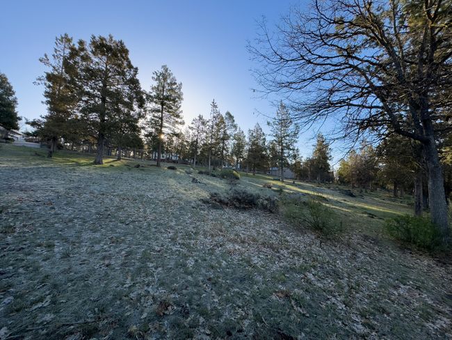 520 Mourning Dove Dr-04 | Image 9