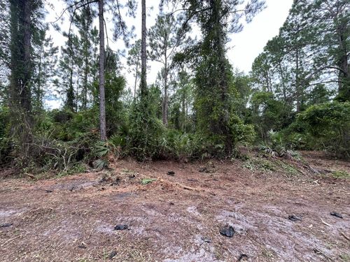 147 Roebuck St, GEORGETOWN, FL, 32139 | Card Image