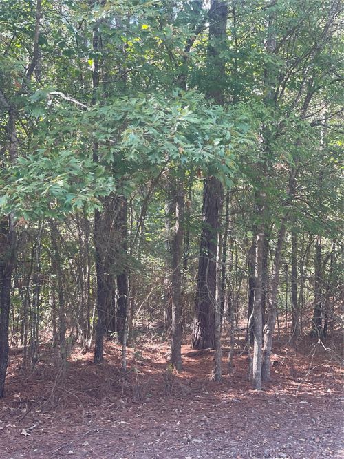 0 Ferry Lake Tract B, Oil City, LA, 71061 | Card Image